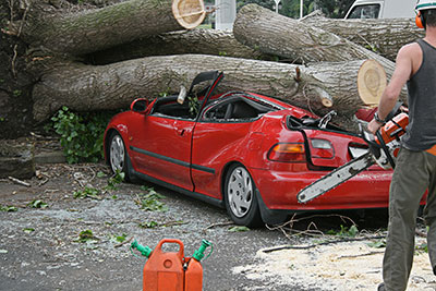 corpus christi emergency tree service